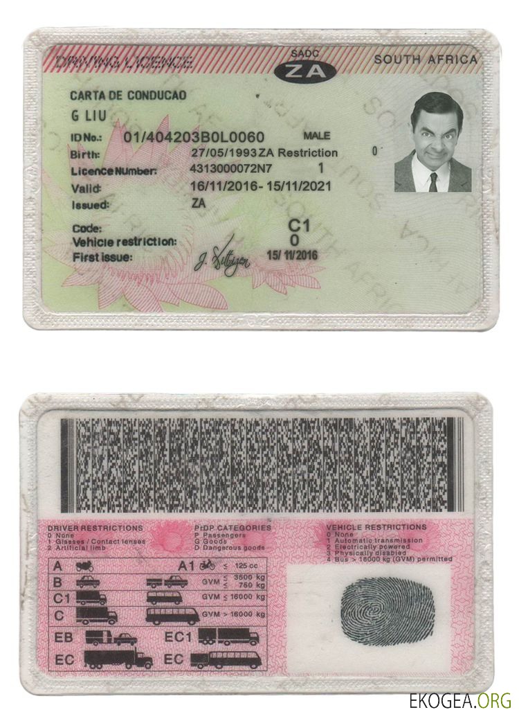South Africa driving license